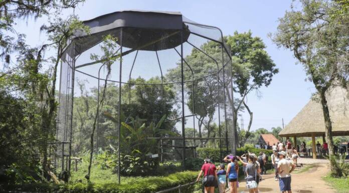 Foto: Hully Paiva/Prefeitura de Curitiba