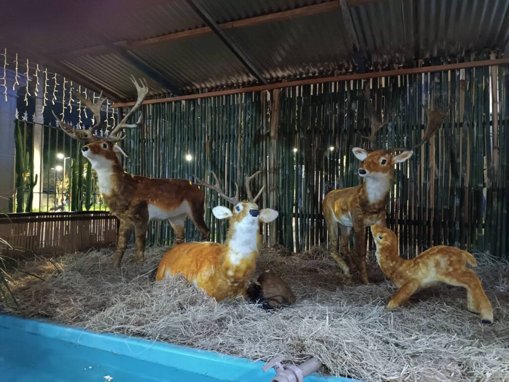 Santuário de Nossa Senhora Aparecida de Londrina inaugura com bênção a decoração de Natal