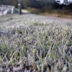 Após recorde de frio, temperatura sobe e Paraná volta a ter veranicos de inverno