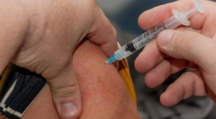 Ministério da Saúde faz alerta sobre febre amarela