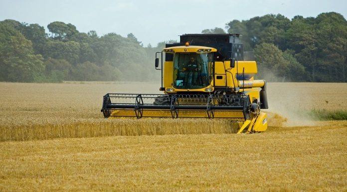Mapa negocia R$ 1,5 bilhão para apoiar contratação do seguro rural em 2021