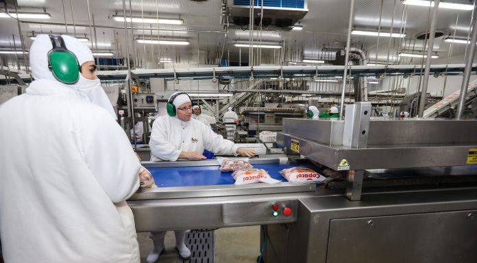 Indústria de alimentos do Paraná cresceu 8,8%
