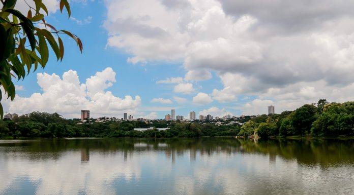 Repovoamento de rios e lagos em Apucarana