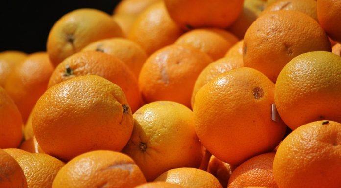Laranja, trigo em grão, semente de trigo e arroz tiveram preços mínimos reajustados