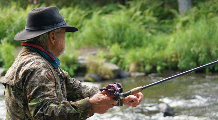 Novo período de pesca nativas de peixes nas bacias do Paraná