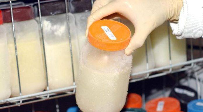 Doações de leite humano crescem na Maternidade Municipal de Londrina