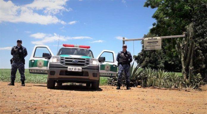 Prefeitura de Arapongas visa intensificar os serviços de combate a maus-tratos contra animais