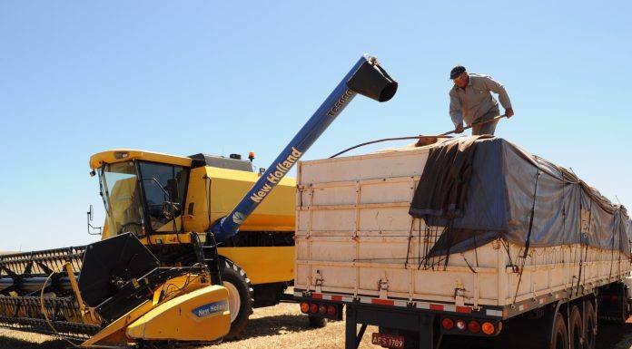 Paraná é o segundo maior produtor de grãos, com mais de 40 milhões de toneladas