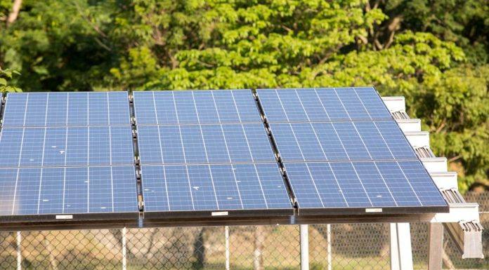 BB é a primeira instituição financeira a ter a própria usina de energia solar