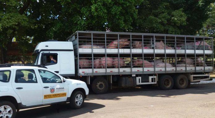 Adapar mantém seus trabalhos essenciais, mesmo com a pandemia da Covid-19