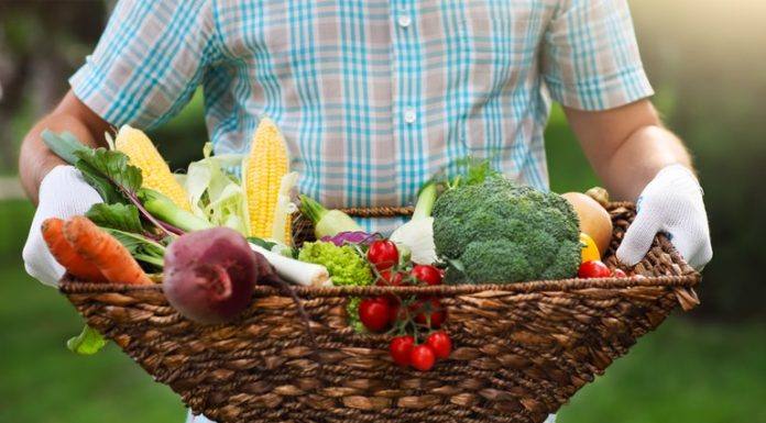 Governo federal destina R$ 500 milhões para a compra de produtos da agricultura familiar