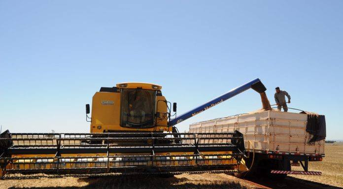 Ações dos governos federal e estadual dão suporte aos produtores rurais