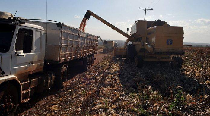 Renegociação de crédito rural é autorizada pelo Conselho Monetário Nacional
