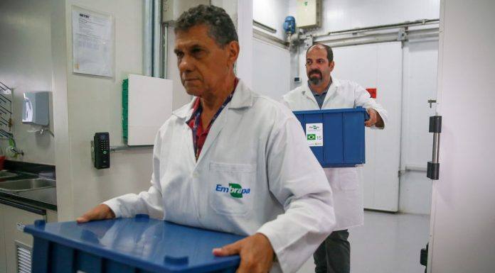 Embrapa obteve um lucro social de R$ 46,49 bilhões em 2019