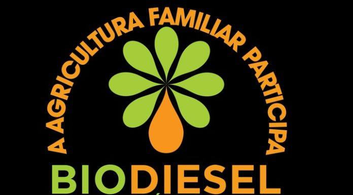 Programa Selo Combustível Social pode ser feita on-line pelas cooperativas