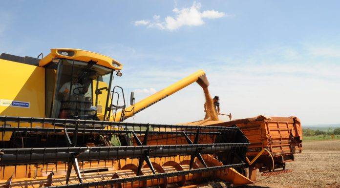 Agronegócio Paranaense é um dos pontos-chave da retomada da economia