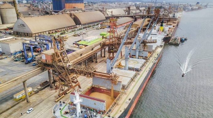 84% das exportações de óleo de soja brasileiras são feitas pelos Portos do Paraná