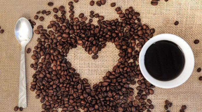 Município de Apucarana investe na cafeicultura moderna