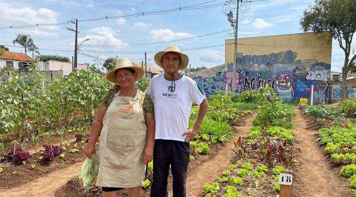 Agricultura familiar tem apoio da Copel durante a pandemia