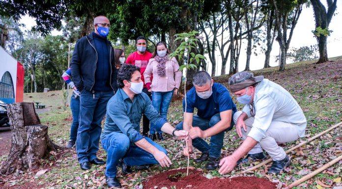 Prefeitura de Apucarana comemora o Dia Mundial do Meio Ambiente