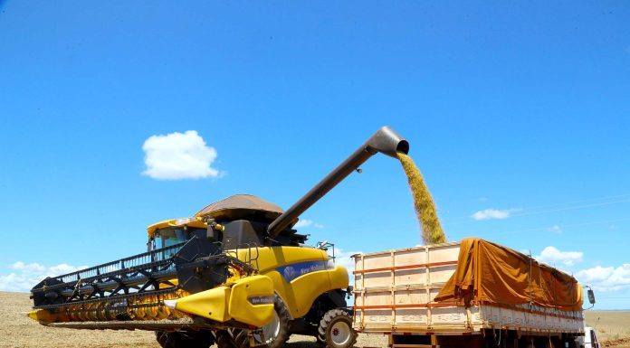 Paraná deverá colher 40,9 milhões de toneladas de grãos