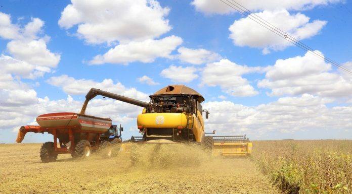 Governo destina R$ 236,3 bilhões para o Plano Safra 2020/2021