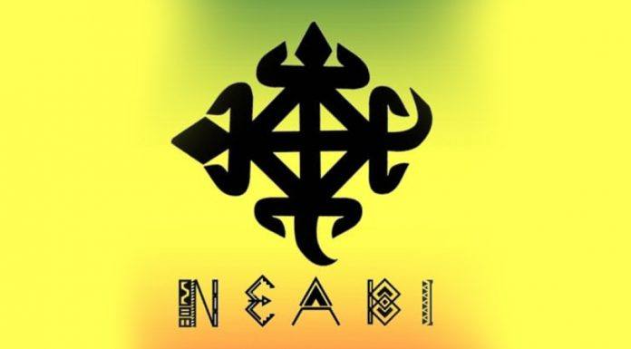 NEABI realizará pesquisa com estudantes ingressantes pelas cotas sociorraciais