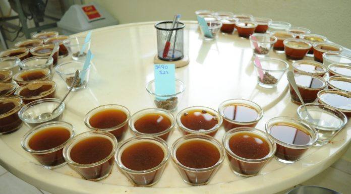 FICAFÉ 2020 será realizada de maneira inteiramente virtual