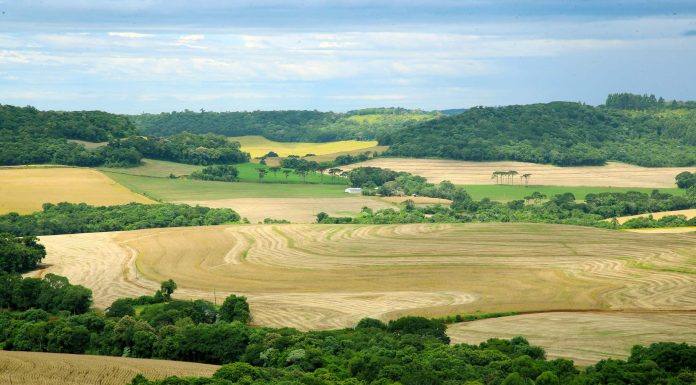 Preços das terras agricultáveis no Paraná cresceram, em média, 12%