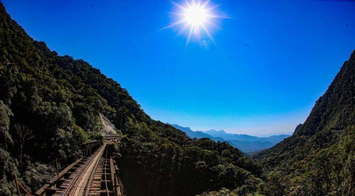 Trem turístico que liga Curitiba a Morretes volta a encantar turistas