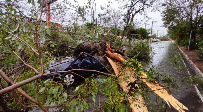 Intensidade do vento e do granizo causa destruição em Jacarezinho