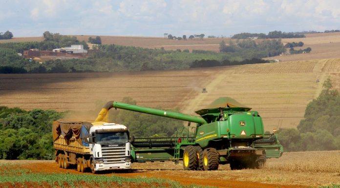 Certificado de Cadastro de Imóveis Rurais 2020 já está disponível