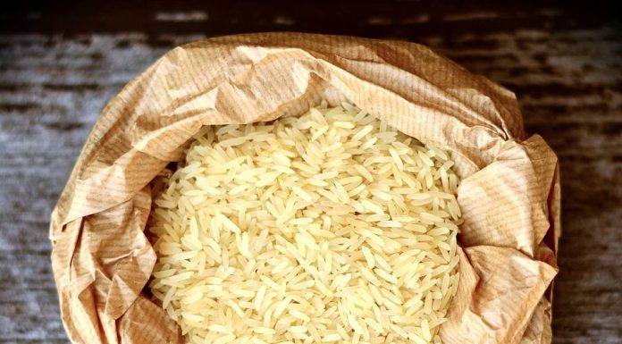 Ministra da Agricultura diz que não vai faltar arroz no país