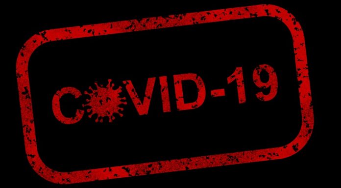 Secretaria de Saúde de Tamarana registra 15 casos ativos de Covid-19