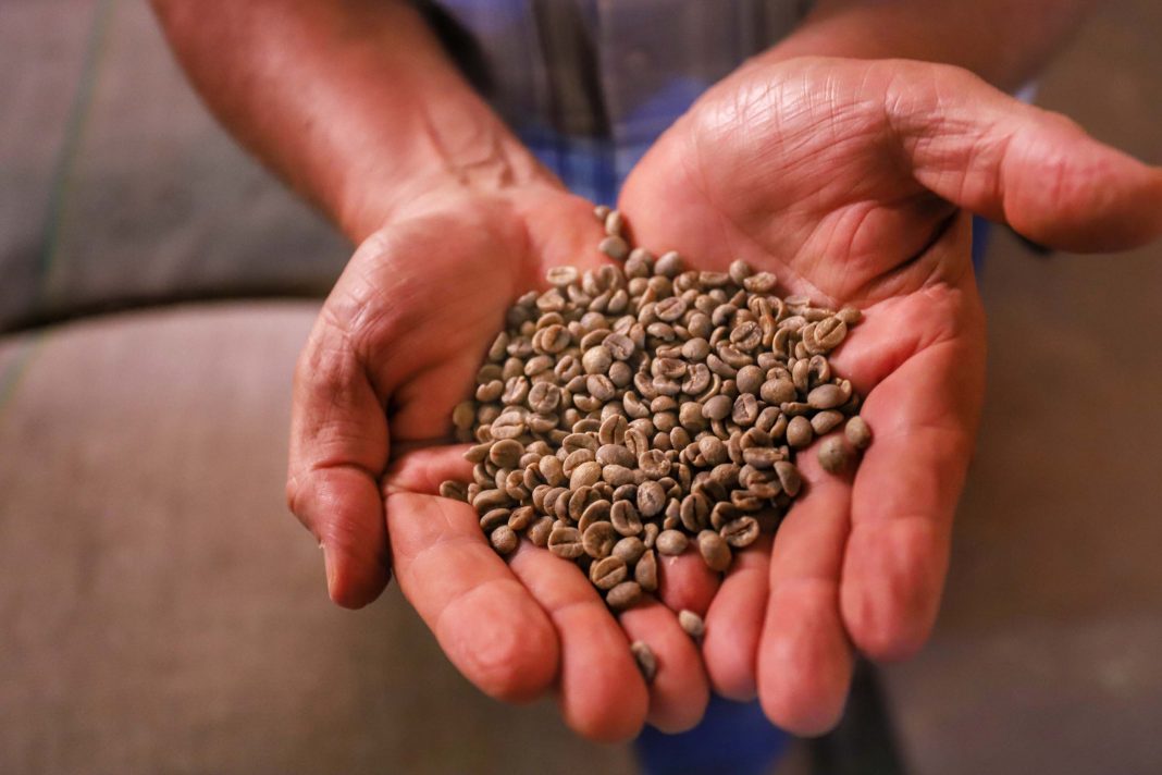 LondrinaFazendaPalmeira_038