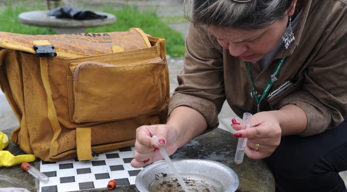Infestação do mosquito da dengue atinge nível de alerta em Tamarana