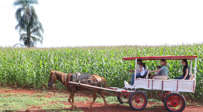 Turismo Rural é aprovada pela Comissão da Câmara dos Deputados