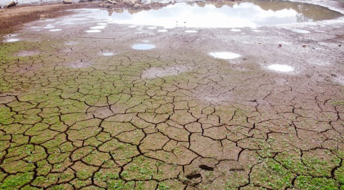 Estiagem compromete abastecimento de água em Jacarezinho