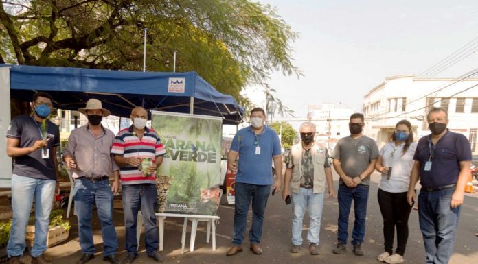 Município de Santo Antônio da Platina arrecada meia tonelada de alimentos