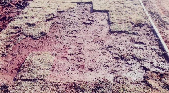 Ladrões furtam placas de grama no município de Curiúva