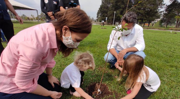 Prefeitura de Assaí realizará ação através do programa Paraná Mais Verde