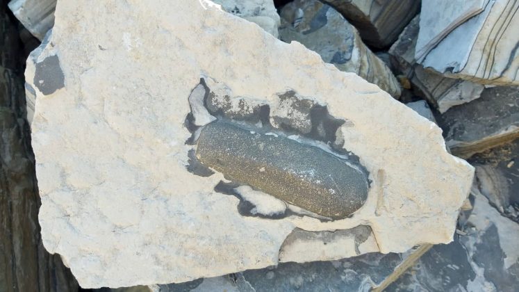 Guapirama “esconde” fósseis e parte da geologia mundial