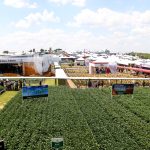 Show Rural 2023 bate recorde de público e movimenta mais de R$ 5 bilhões