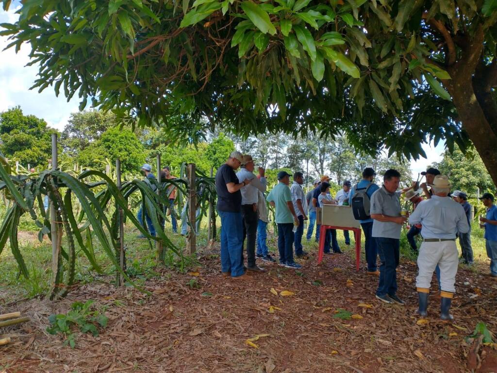 Agricultores assaienses participam de curso sobre Cultura da Pitaya