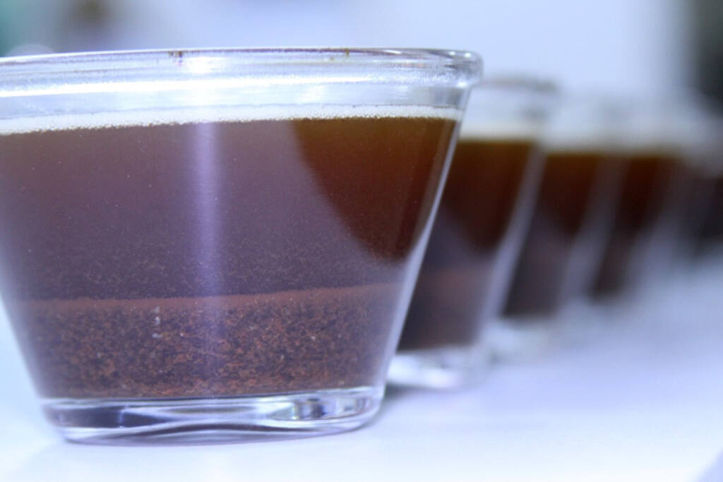 Maior prêmio do segmento, Café Qualidade Paraná 2023 está com as inscrições abertas