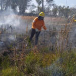 Brigadistas indígenas ajudam a conservar o patrimônio natural do Paraná
