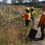 Brigadistas indígenas ajudam a conservar o patrimônio natural do Paraná