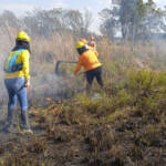 Brigadistas indígenas ajudam a conservar o patrimônio natural do Paraná