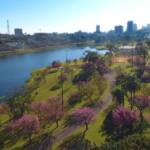 Conheça as diferentes opções de turismo e lazer em Guarapuava