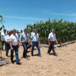 Tradicionais eventos das cooperativas abrem calendário agrícola no Oeste do Paraná